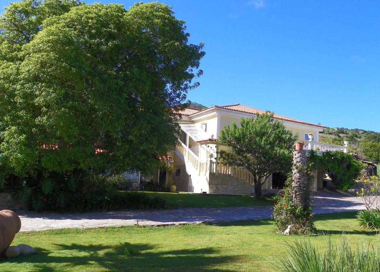 Апартаменты Casa-Palo-Pique Икод-де-лос-Винос Экстерьер фото